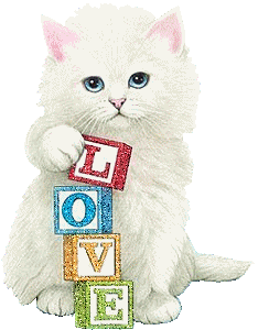 gif-gato-love